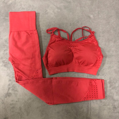 The Haley Gym 2 Piece Set Workout Clothes for Women