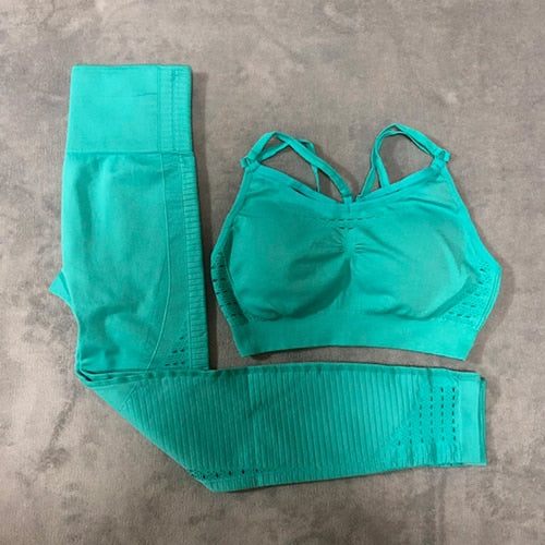 The Haley Gym 2 Piece Set Workout Clothes for Women